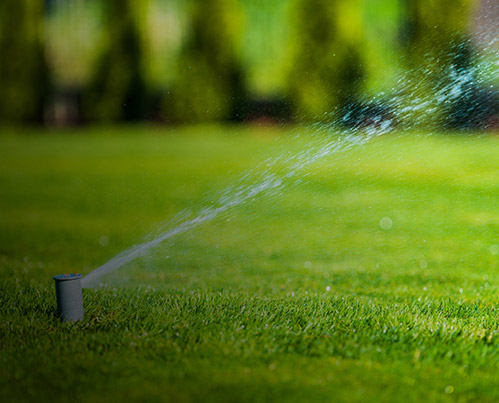 Sprinkler