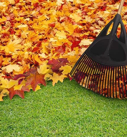 Lawn Clean Up Services In India Sidh, Landscape Clean Up Crew